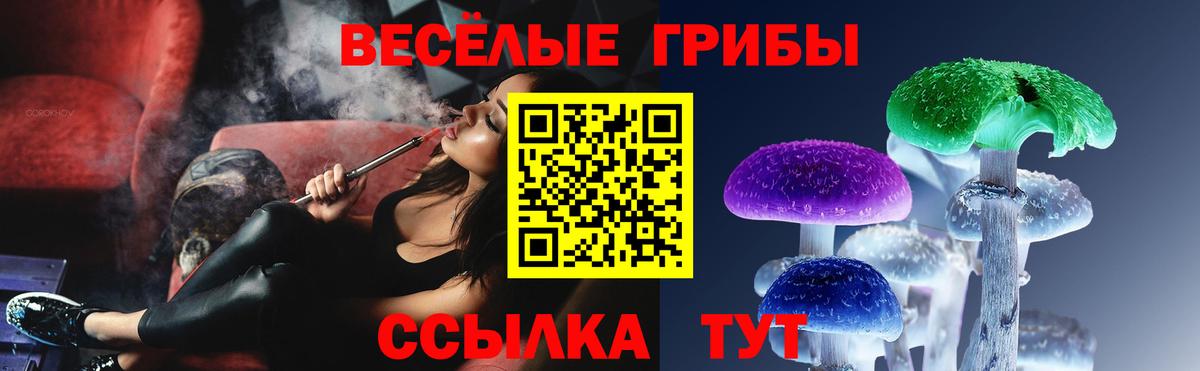 Минеральные Воды  Псилоцибиновые грибы Cubensis  Вход с VPN 